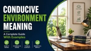 Conducive Environment Meaning: A Complete Guide With Examples