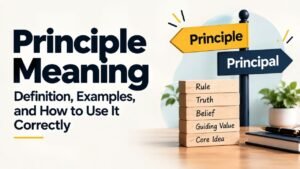 Principle Meaning: Definition, Examples, and How to Use It Correctly
